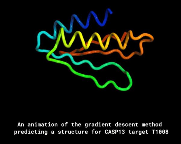 DeepMind推出AlphaFold：可根据基因预测生成蛋白质的结构
