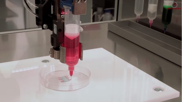 未来器官可望由3D列印印制