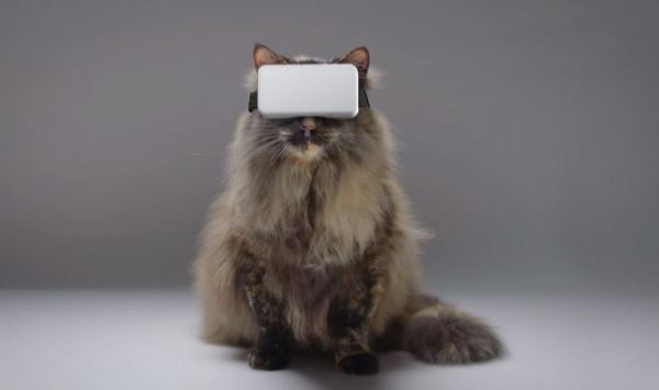 猫用VR