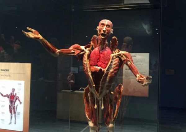 创新科技博物馆的展场，就像个解剖实验室。