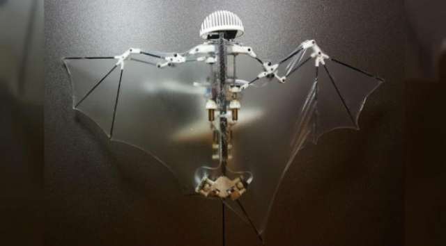 比无人机更灵活！这只机器蝙蝠不只会飞翅膀还能变形